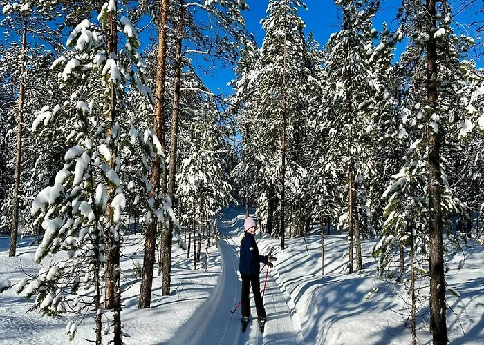 Lumossa Aurora Lakeside House בקתה *